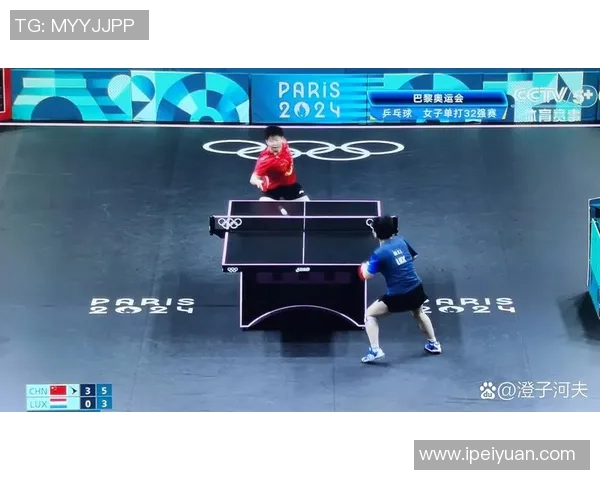 杨强乒乓球人生的深度对话与成长历程探讨