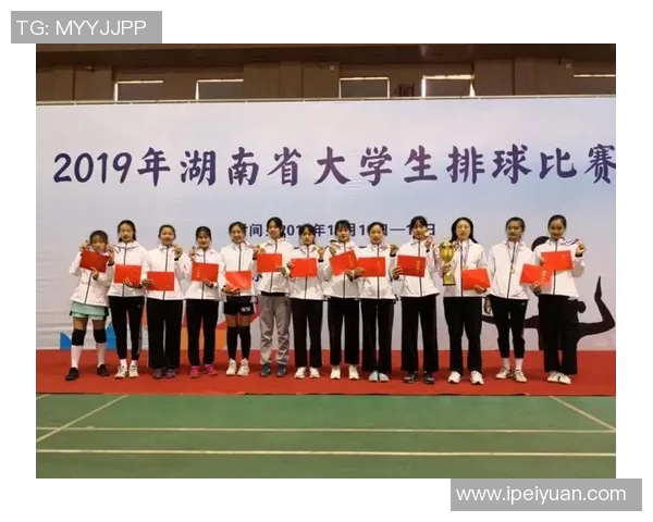 南京排球队的拼搏之路：从默默无闻到联赛强队的奋斗故事