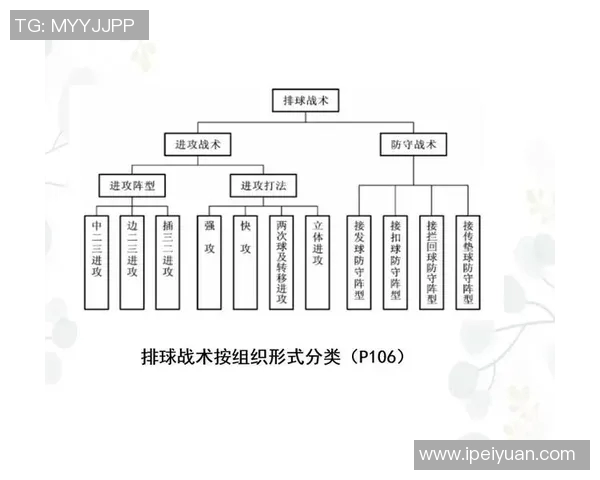 深入分析上海排球队中路突破战术的优势与应用策略