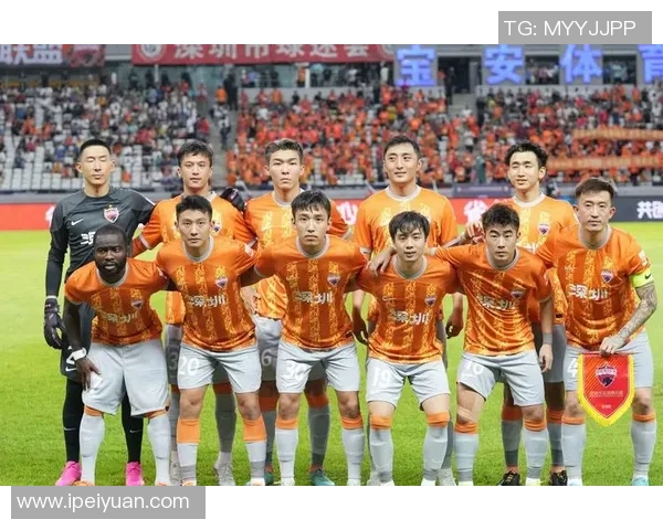 深圳网球队进攻战术解析与实战应用的深度剖析