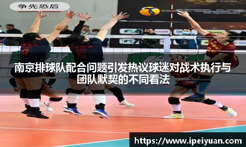 南京排球队配合问题引发热议球迷对战术执行与团队默契的不同看法