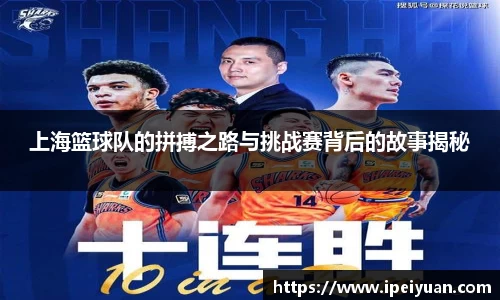 上海篮球队的拼搏之路与挑战赛背后的故事揭秘