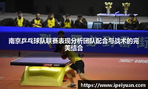南京乒乓球队联赛表现分析团队配合与战术的完美结合
