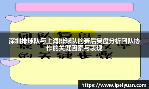 深圳排球队与上海排球队的赛后复盘分析团队协作的关键因素与表现