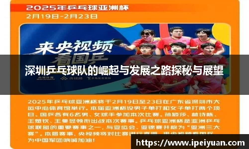 深圳乒乓球队的崛起与发展之路探秘与展望