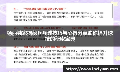 杨丽独家揭秘乒乓球技巧与心得分享助你提升球技的秘密宝典